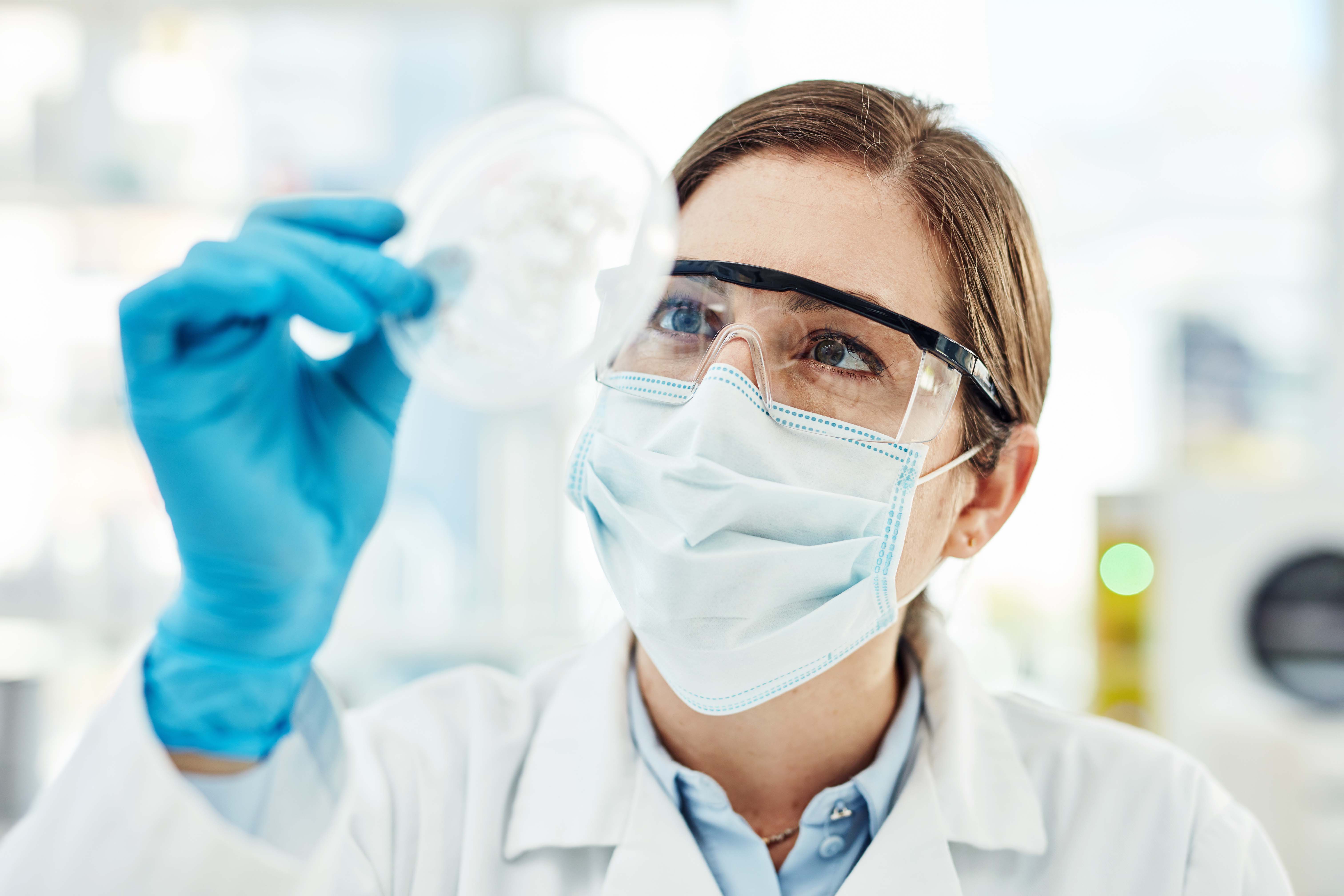 Scientist staring at agar plate