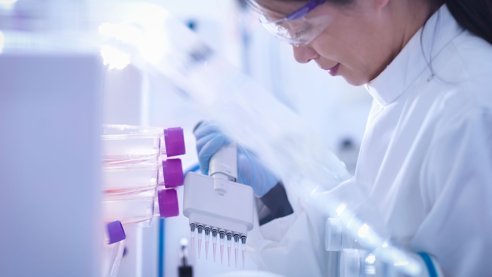 Scientist making cell culture inside laboratory workstation, close up