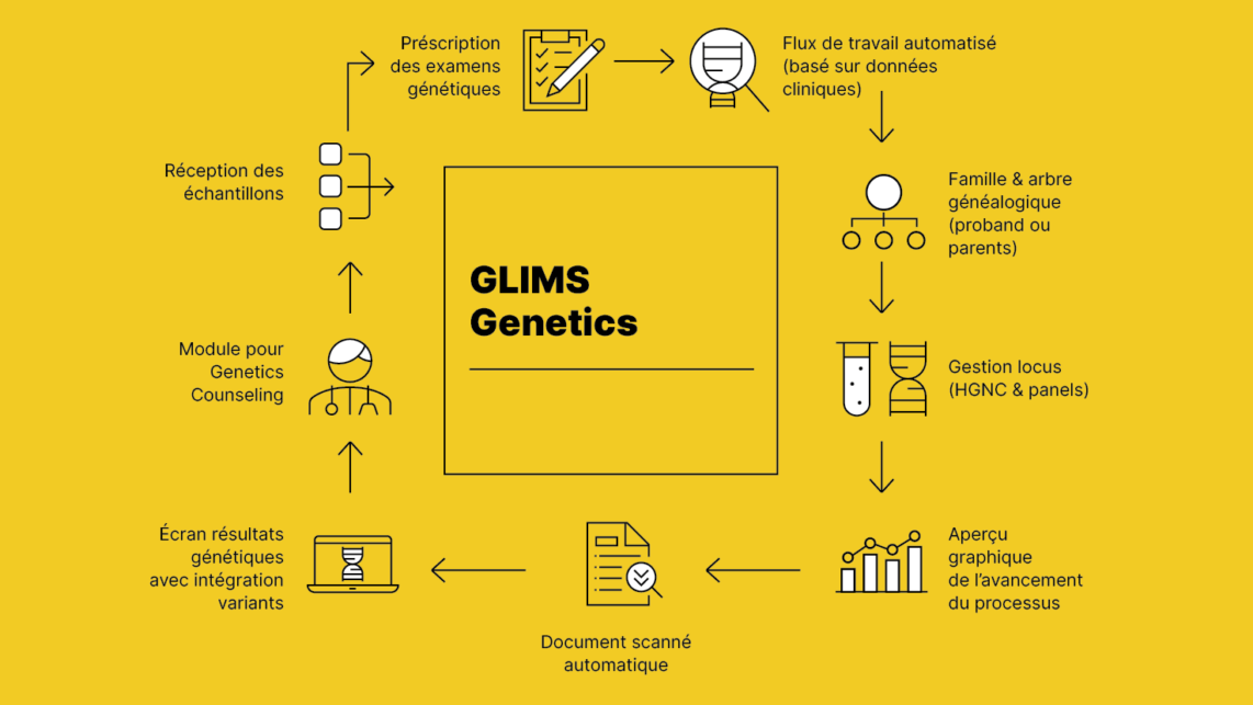 GLIMS Genetics flux de travail