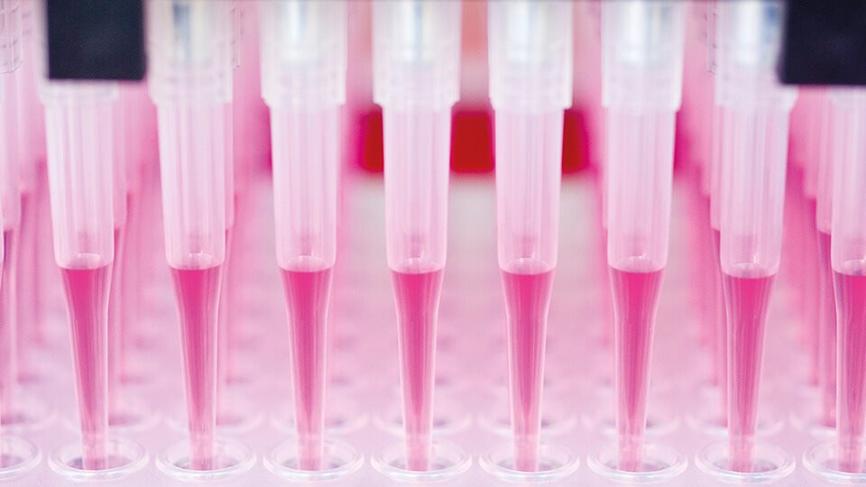 Automatic pipette
