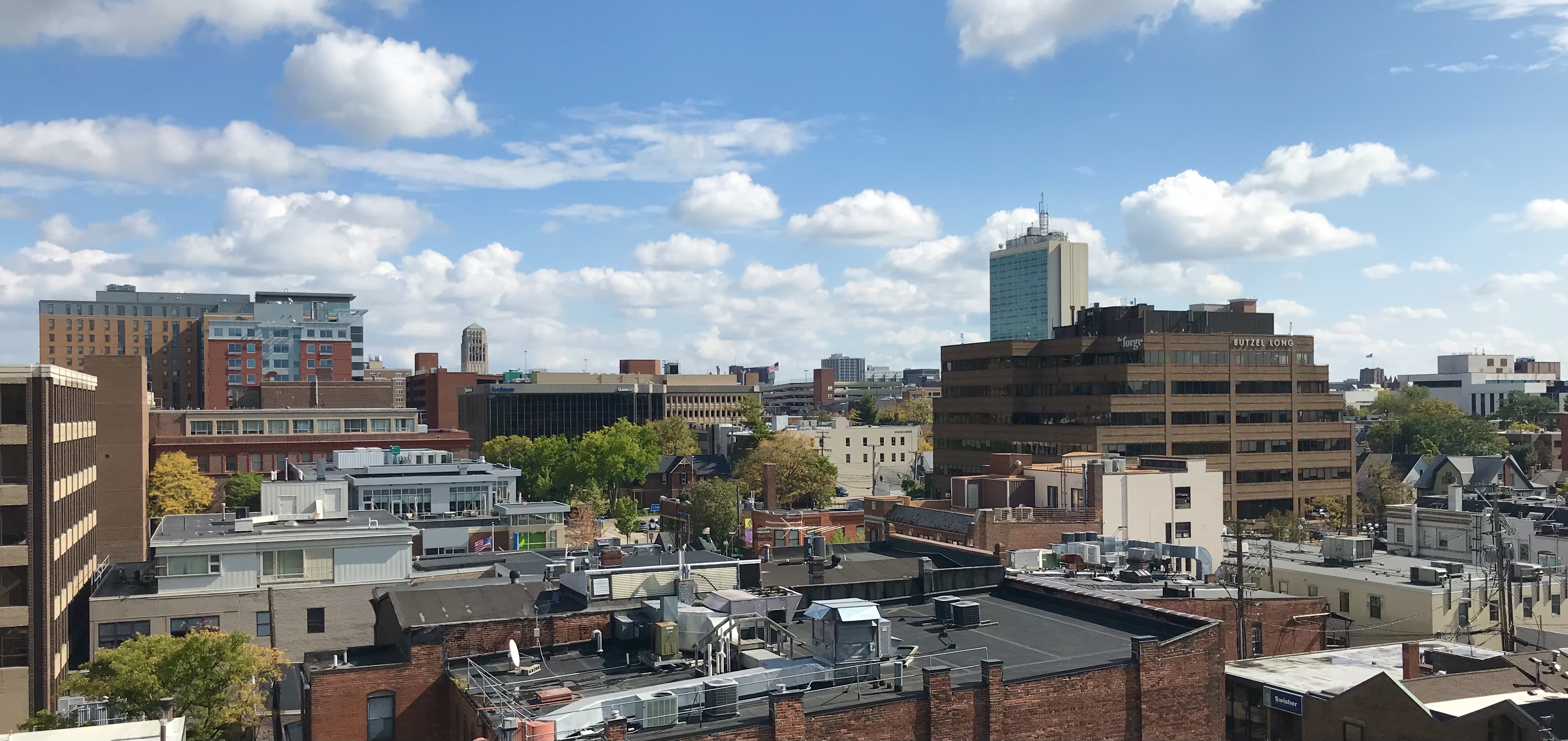 Ann Arbor Mi