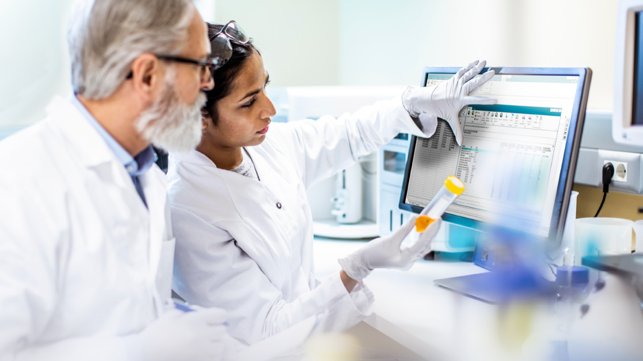 Scientist Working, Discussing in The Laboratory using an LIS