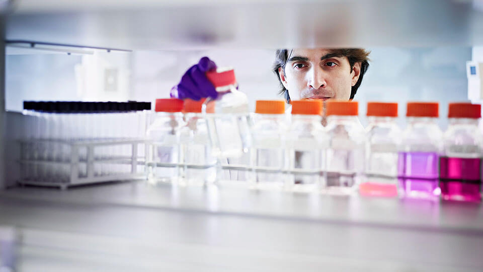 Scientist selecting bottle of solution in lab