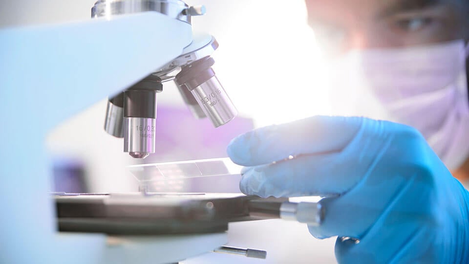 Close up of a microscope slide with a test sample on it while being ready for biological analysis