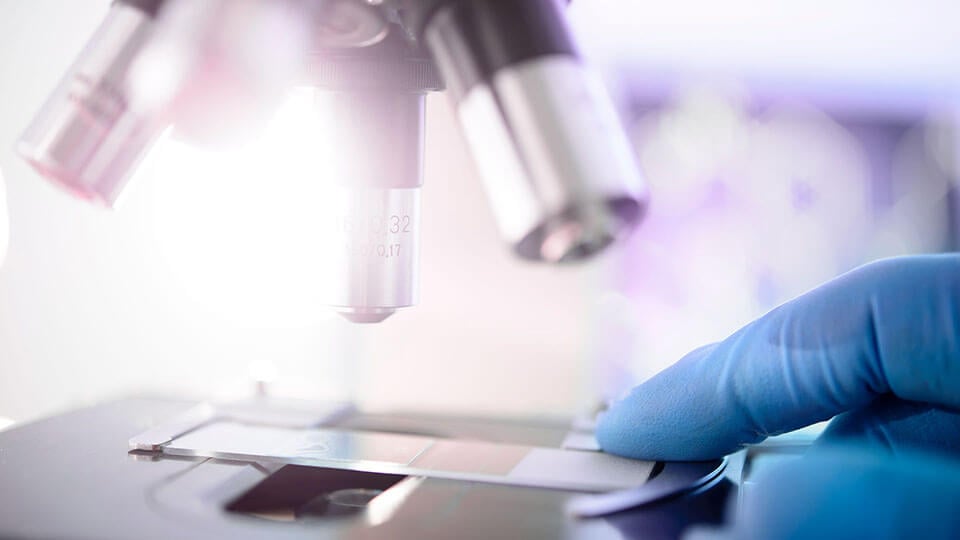 Scientist placing a slide beneath an optical microscope