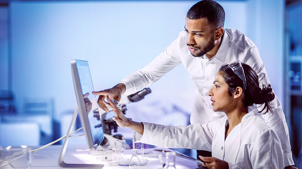 Scientist Working in The Laboratory