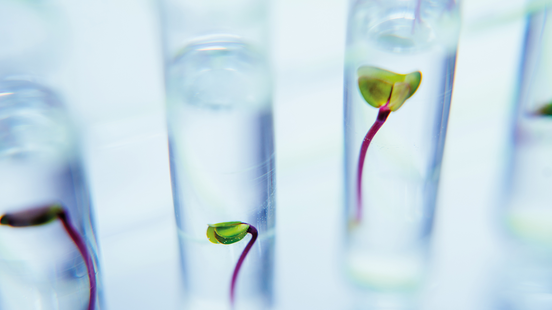 Winpath Clinisys launches Clinisys Laboratory Solutions™ to help laboratories ...