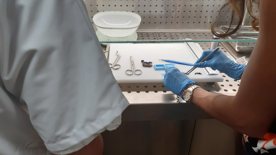 Laboratory of anatomic cytopathology located at the Clinique Sainte-Clotilde