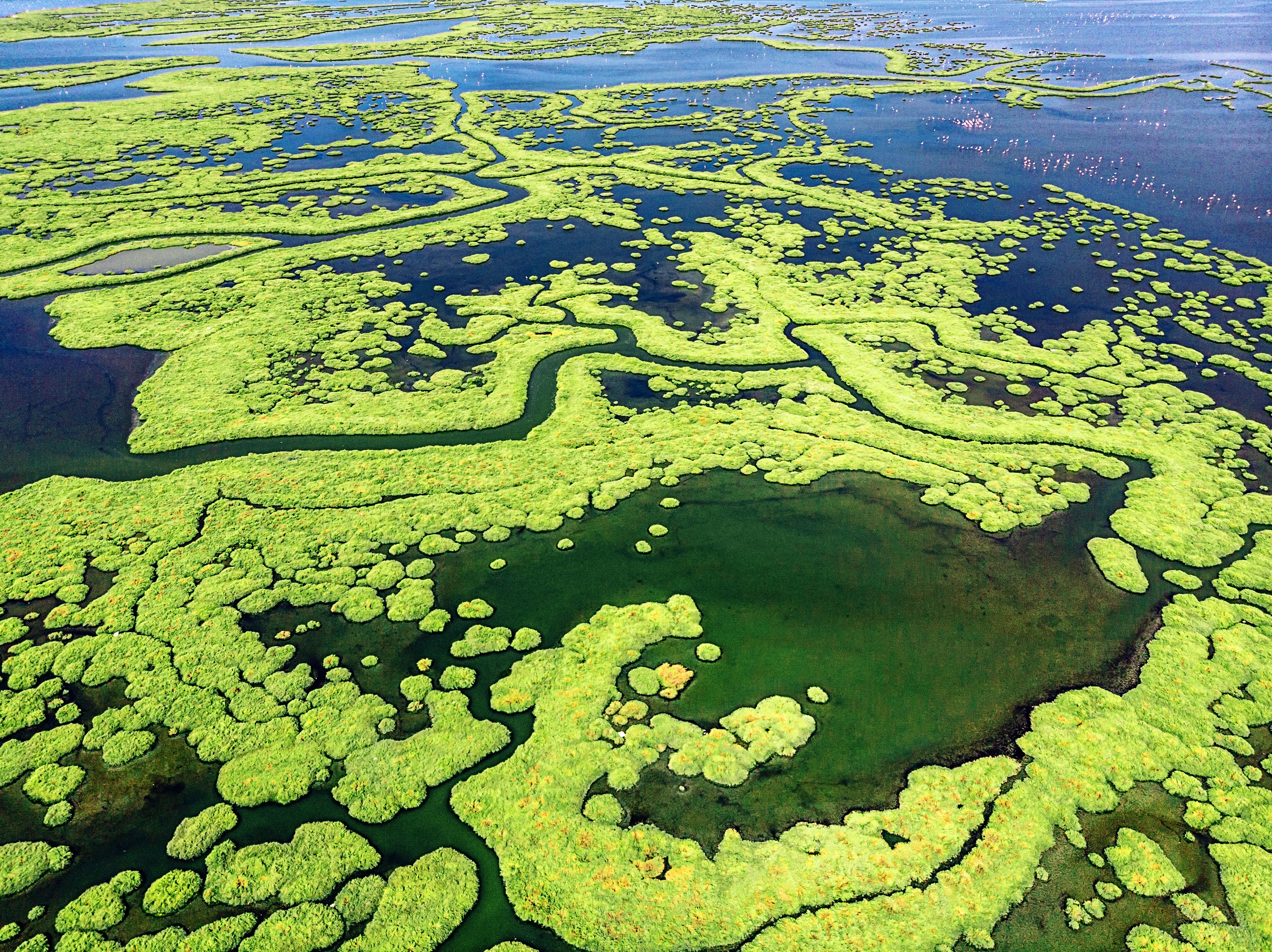 Aerial View of Amazing Natural Shapes and Textures