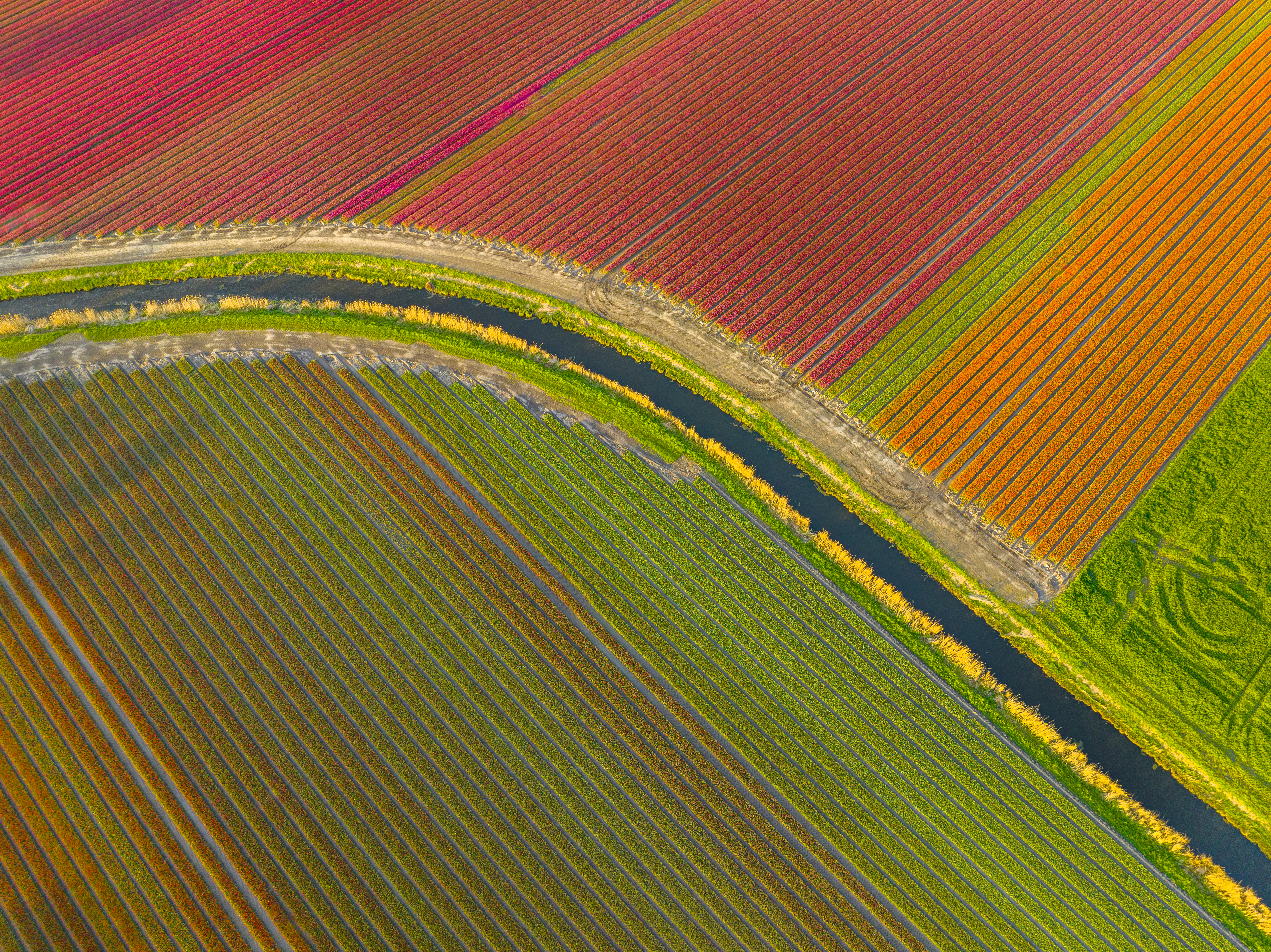 Fields of colourful farm crops adjacent to a water canal, illustrating the importance of mitigating agricultural pesticides, fertilisers, and runoff into watersheds and drinking water supplies. The application of biosolids to farmland as fertiliser is a known source of PFAS contamination into the food chain.