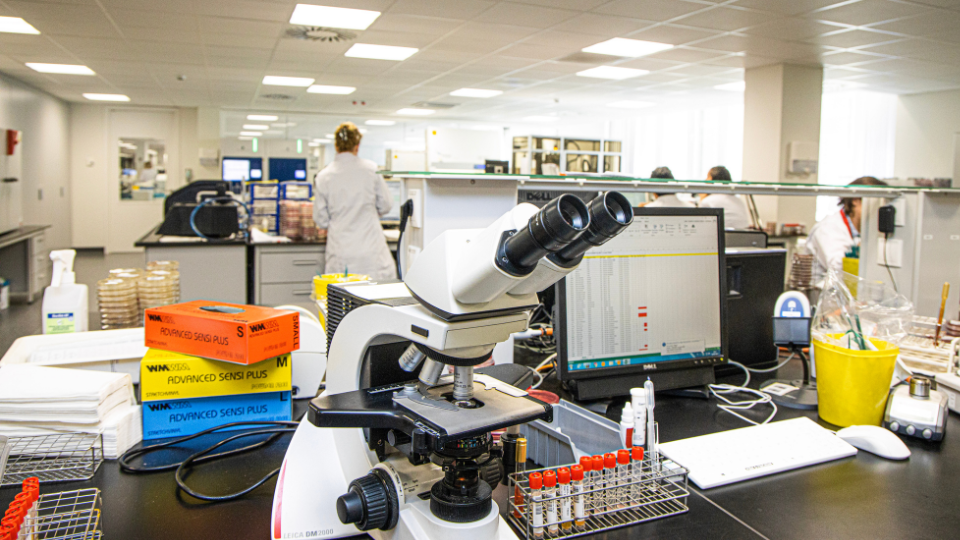 AZ Groeninge GLIMS 10