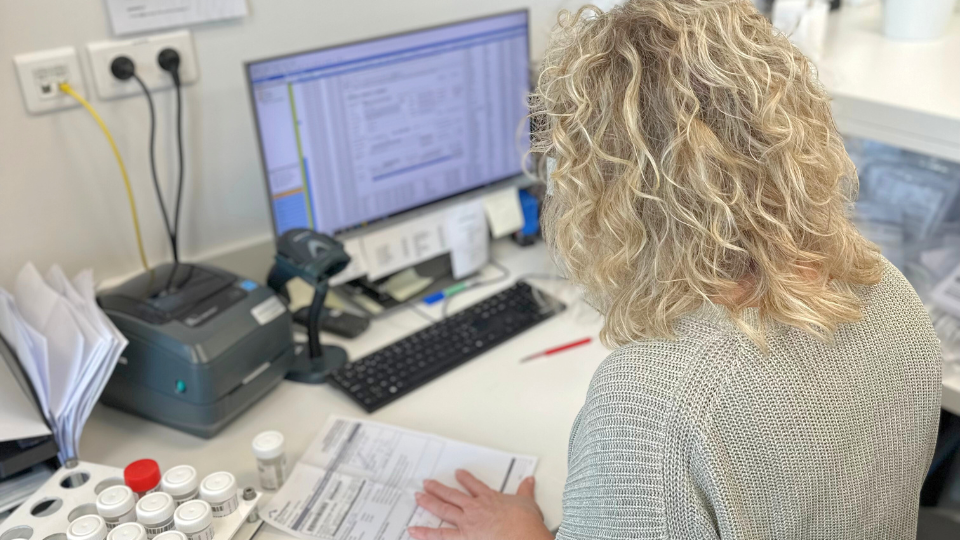A staff member of the general Hospital Maarten lab in Belgium sitting at a desk with a computer