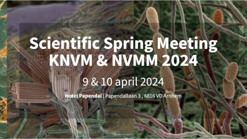 Scientific Spring Meeting KNVM & NVMM 2024