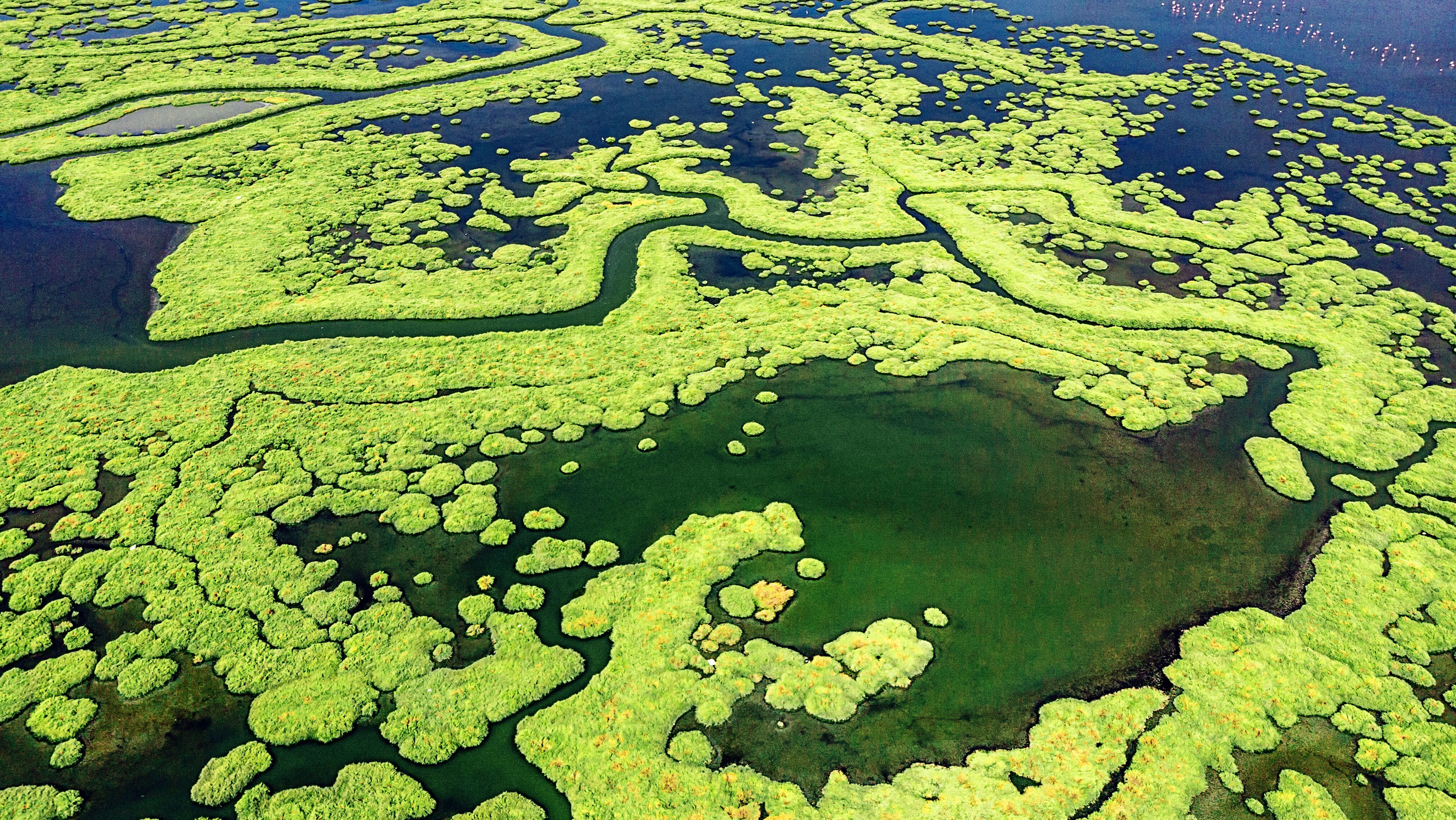 Aerial View of Amazing Natural Shapes and Textures